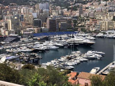 Monaco Grand Prix F1